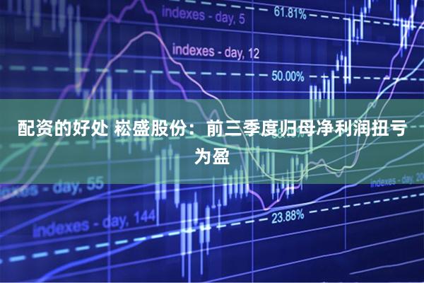 配资的好处 崧盛股份：前三季度归母净利润扭亏为盈